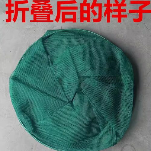 渔网箱折叠圆形网箱 龙虾螃蟹暂养吊笼网箱鱼护加厚 多款养鱼虾笼 - 图0