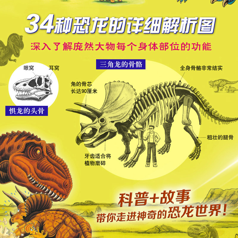 正版恐龙大陆全套共7册故事恐龙绘本十万个为什么3-6-9周岁幼儿少年儿童科普百科大全书动物世界儿童课外读物中小学生课外阅读读物,淘宝优惠券,粉丝福利购,淘宝优惠卷