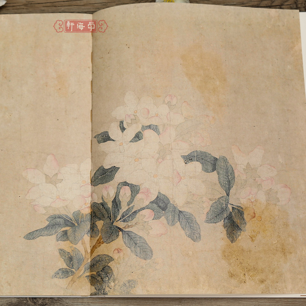 学海轩钱选八花图花鸟图中国绘画名品55延展南宋佚名花卉四段卷海棠梨花四清图题跋双鸠图2张整幅作品装裱水墨画赏析教程国画书籍 - 图0