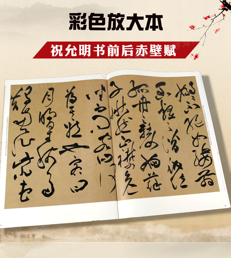 共4本祝允明书法合集 草书岳阳楼记乐府诗洛神赋前后赤壁赋祝枝山毛笔字帖彩色放大本中国著名碑帖 上海辞书出版社 - 图0