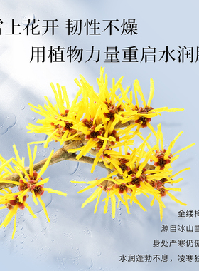 希芸清透肌水乳套装旗舰店正品