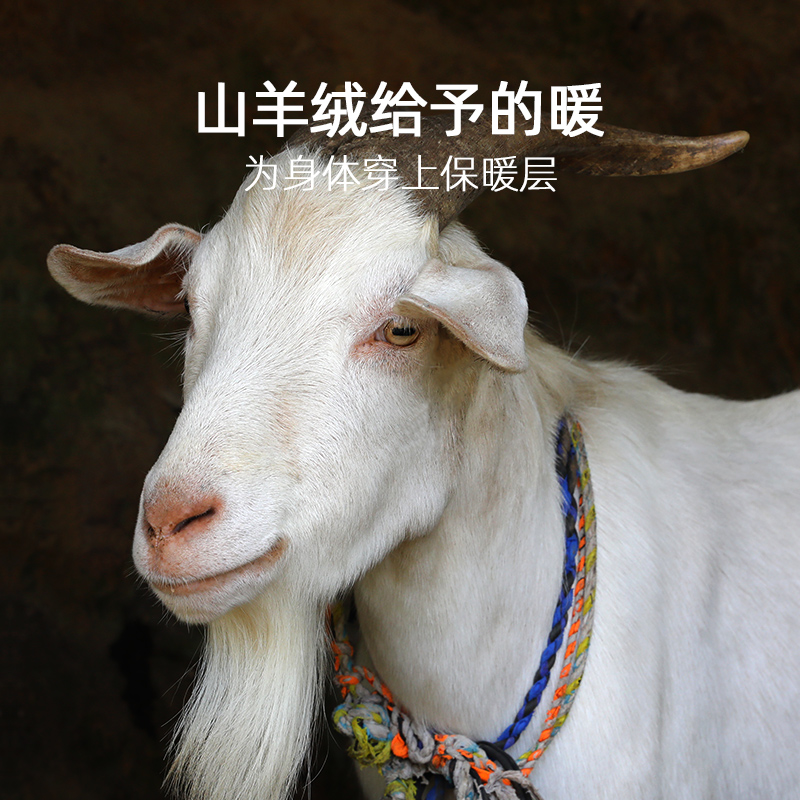金利来保暖内衣男士套装加绒加厚含绵羊毛冬季德绒恒温防寒两件套
