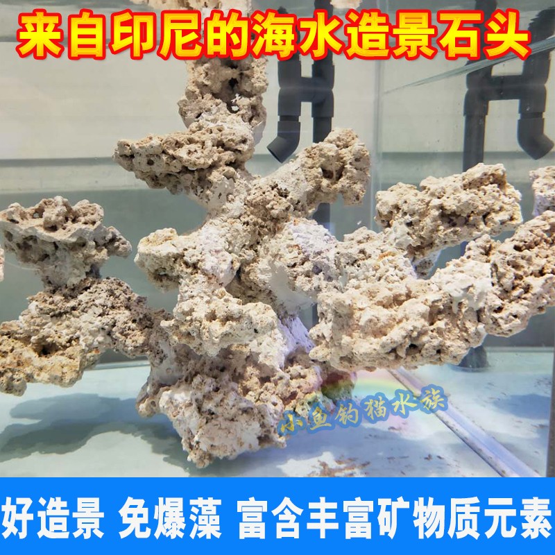印尼爪哇石海鱼缸造景代替活石片状天然干岩免爆藻死石培菌珊瑚缸-图0