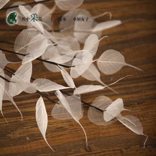 菩提叶脉干花花束假花仿真花树枝装饰客厅干枝落地天然树枝树叶 - 图2