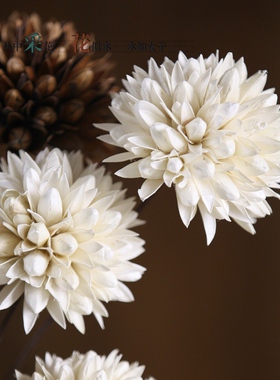玉兰干花仿真花装饰客厅天然