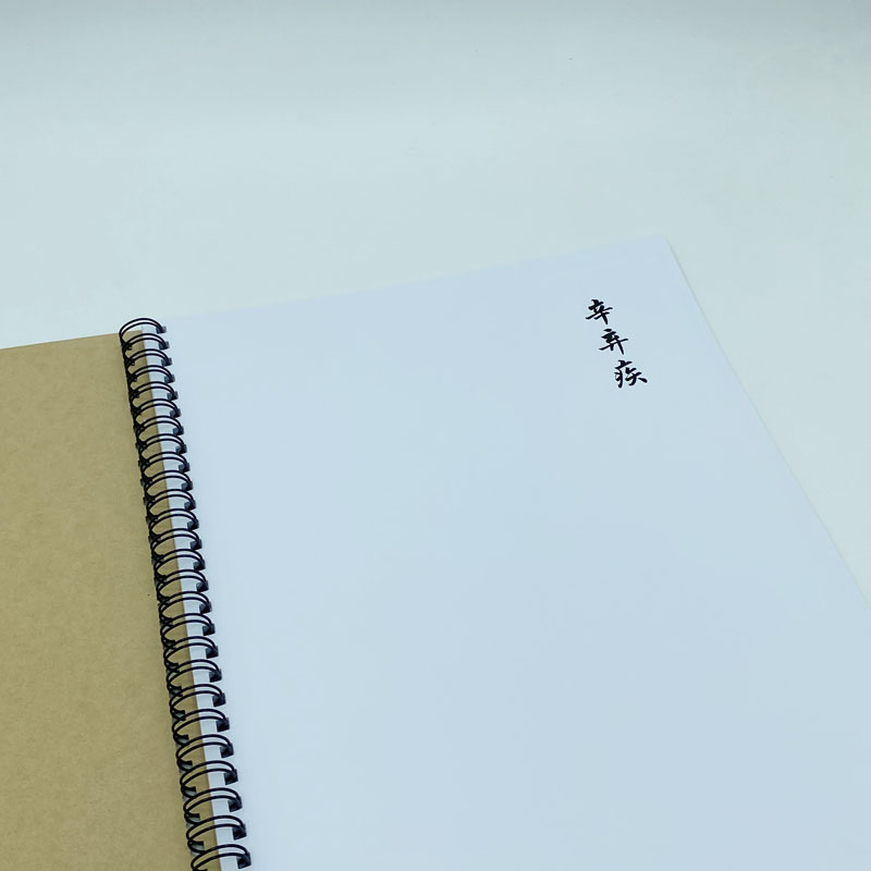 (定制字帖)繁体草书 辛弃疾词选 硬笔钢笔字帖 附简体对照