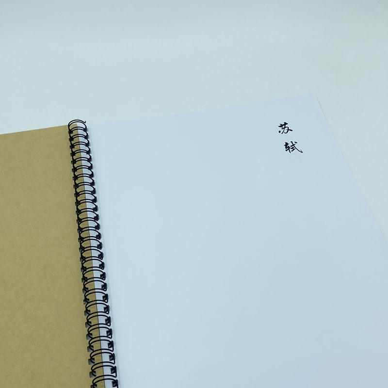 （定制字帖）苏轼词选 横线格临写 硬笔钢笔字帖楷书行书行楷隶书