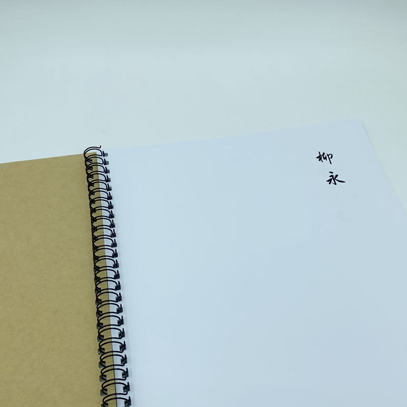（定制字帖）柳永词选 横线格临写 硬笔钢笔字帖楷书行书行楷隶书