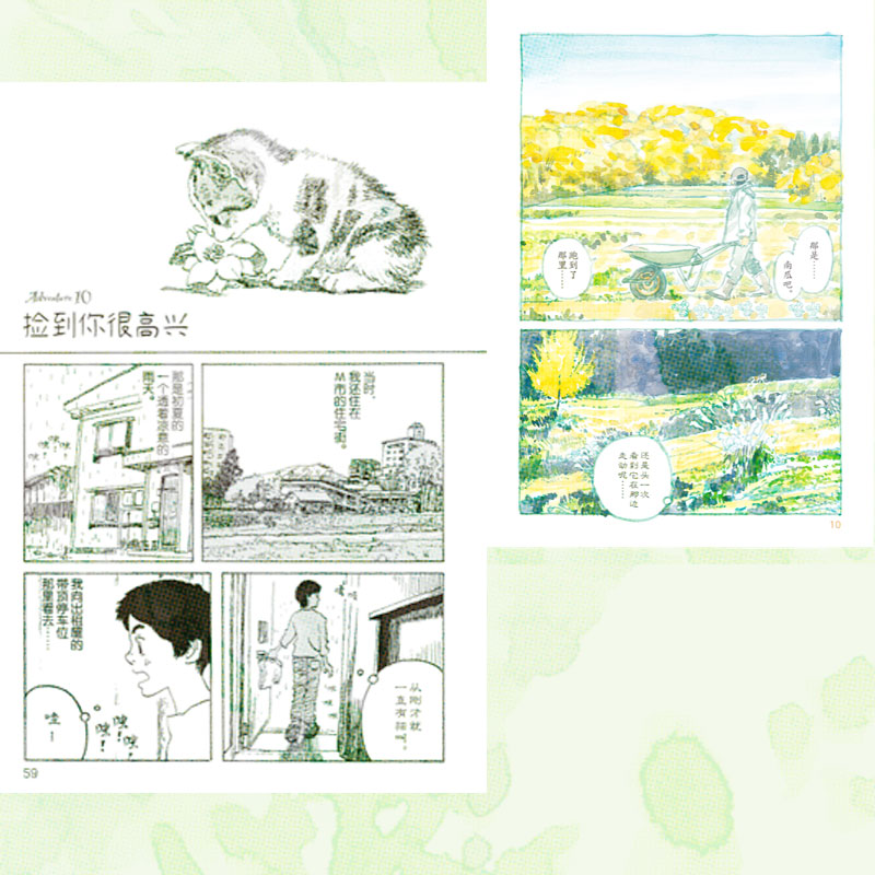 现货正版南瓜与我的野放生活五十岚大介著日本漫画画集书籍中文简中版小森林海兽之子作者猫+大自然=双重治愈次元书馆-图3