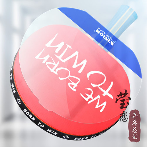 WINION莹恋乒乓球胶皮粘性保护膜乒乓球拍反胶套胶专用护胶膜保养 - 图0