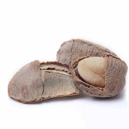 新货坚果鲍鱼果新疆发货沙漠果500g全国包邮孕妇坚果巴西果栗零食