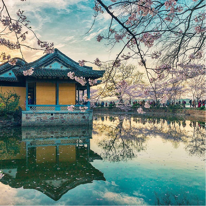 踏青赏花·无锡旅游灵山大佛梵宫鼋头渚太湖仙岛景区门票纯玩跟团 - 图2