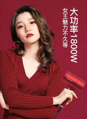 奥克斯电吹风机负离子护发大功率冷热风吹头发速干家用学生吹风筒