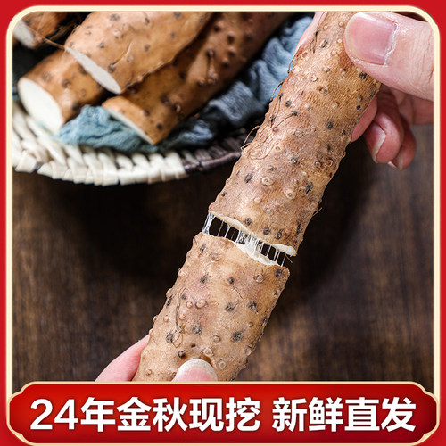 新鲜铁棍山药5斤装河南焦作温县特产正宗淮山铁杆山荮怀山药直销 - 图1