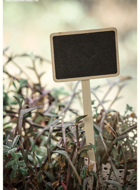 小黑板多肉植物花盆木质工艺品