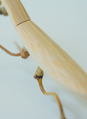 zakka竹制螳螂蚂蚱桌面工艺品