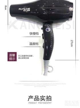 飞超2800w大功率发廊热风吹风机