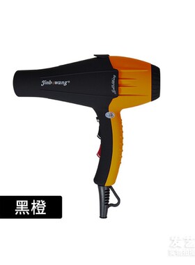 劲波王9930发廊专业负离子吹风机