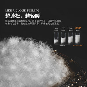 水星家纺匈牙利进口95白鹅绒冬厚被羽绒被春秋被保暖四季鹅绒被子
