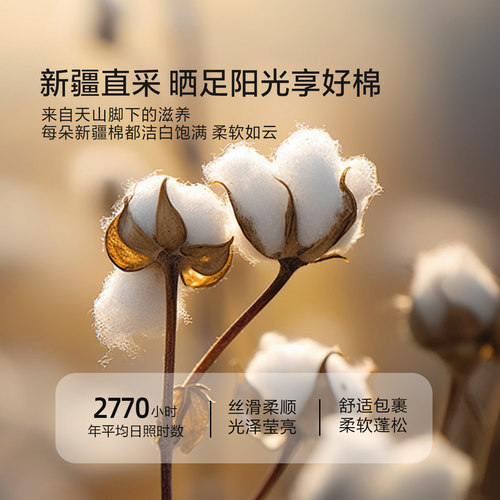 水星家纺A类全棉抗菌棉花被冬被保暖新疆棉春秋被芯被子送长辈-图0