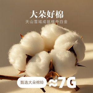 水星家纺棉花床笠60支全棉夹棉加厚单件床垫保护套可水洗纯棉床罩