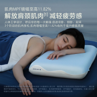 水星家纺人体工学枕头3.0记忆棉枕芯