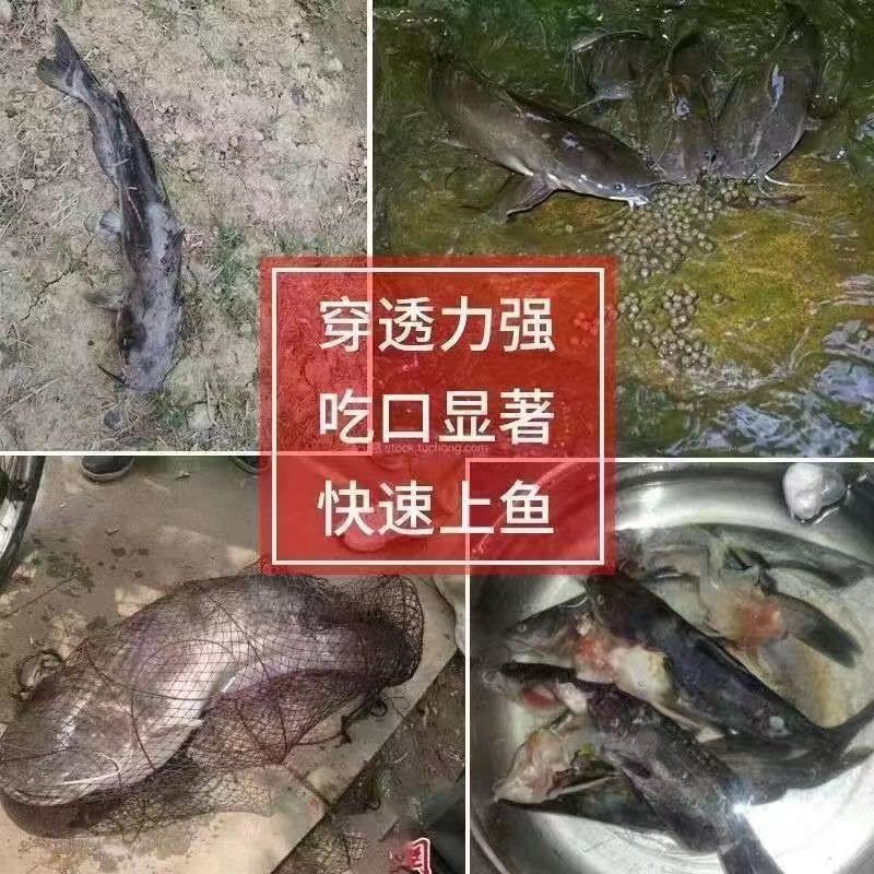 钓野生鲶鱼专用饵料疯小药大口的饲料野钓路亚鱼饵浓腥胡子诱食剂