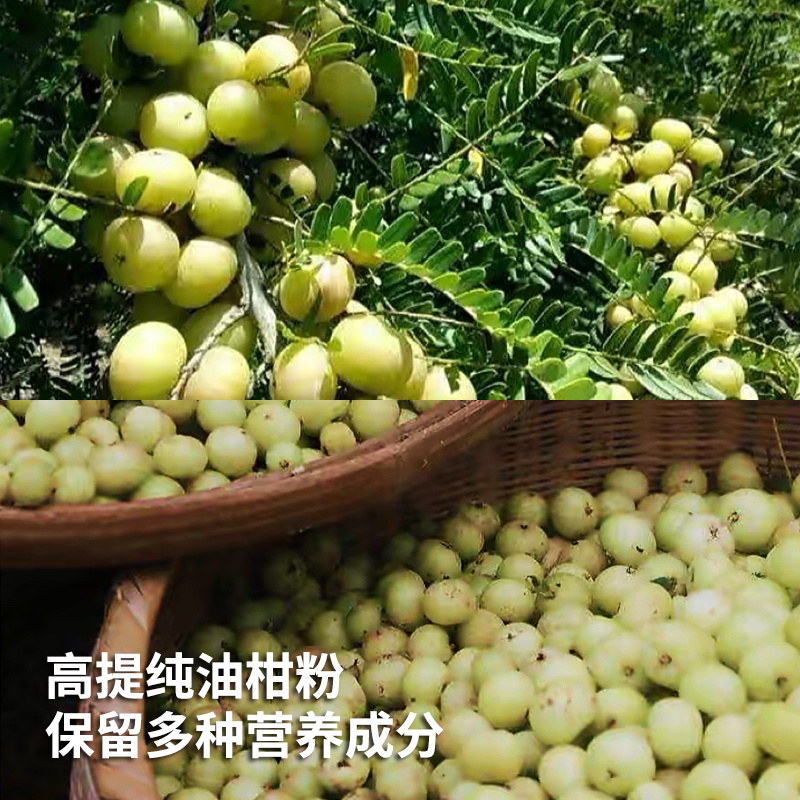 许氏醇品 油柑酵素粉果蔬粉营养植物果汁冲饮冲泡饮料综合纤维粉 - 图1