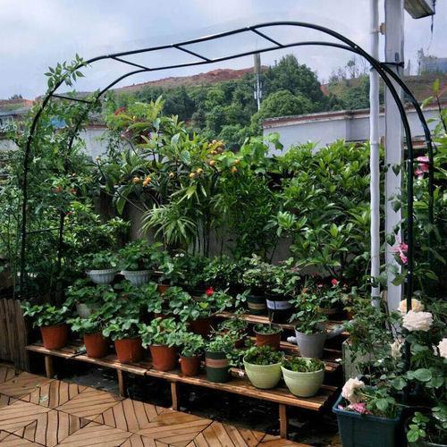 2025新款爬藤植物月季花架拱门阳台户外花园庭院葡萄绿萝蔷薇花架 - 图1