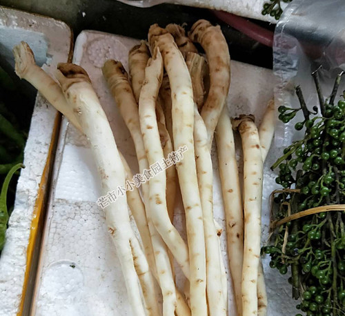 云南特产野菜新鲜蔬菜茴香根茴香菜 煲汤煮汤原料食材 1斤 - 图1