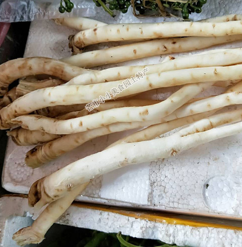 云南特产野菜新鲜蔬菜茴香根茴香菜 煲汤煮汤原料食材 1斤 - 图2