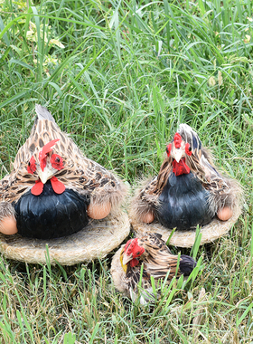 仿真羽毛孵蛋鸡母鸡家禽影视拍摄