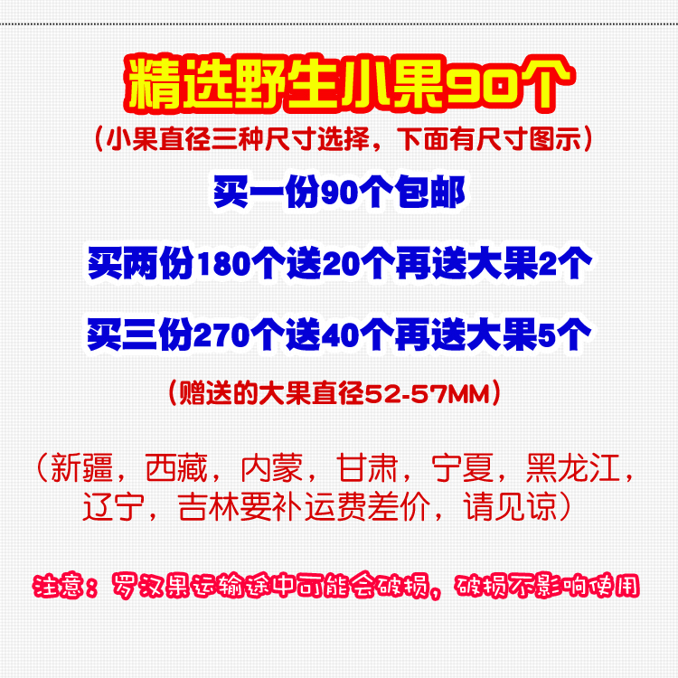 广西桂林特产永福罗汉果干果散装野生小果90个装买两份送大果 - 图0