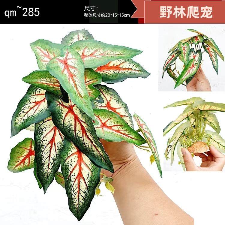 爬宠饲养箱仿真植物造景蜥蜴雨林缸高仿植物生态缸装饰水陆缸摆件,淘宝优惠券,粉丝福利购,淘宝优惠卷