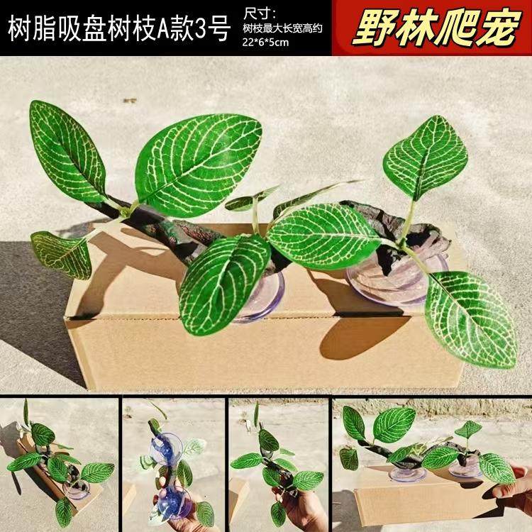 爬宠藤蔓带吸盘造景植物睫角守宫变色龙雨林玻璃缸缸攀爬树藤躲避,淘宝优惠券,粉丝福利购,淘宝优惠卷