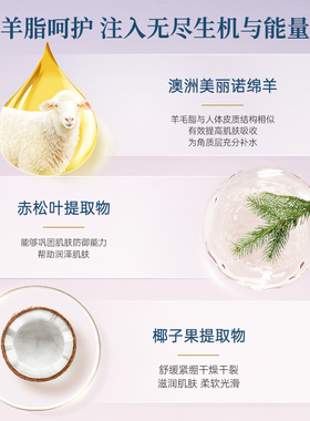 澳洲绵羊油护手霜补水保湿不油腻