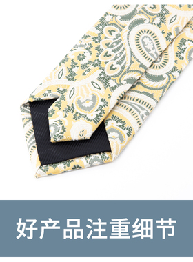 正装领带Jacketman休闲