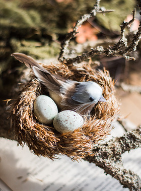 掬涵装饰小鸟摆件夹子鸟巢鸟窝小鸟羽毛鸟胸针美式乡村装饰摆件