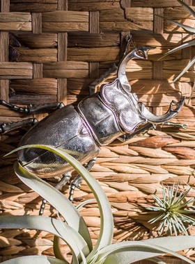 金属大甲虫花金龟挂件摆件墙面桌面装饰个性动物童话风