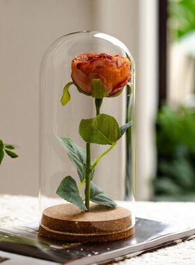 【掬涵】永生花diy软木塞玻璃罩手办微景观透明球形防尘罩小摆件