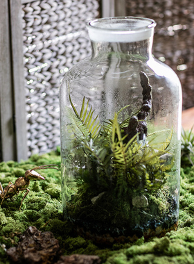 掬涵透明玻璃多肉植物组合微景观生态瓶绿植创意装饰工艺品摆件