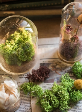 掬涵软木塞玻璃罩装饰摆件微景观干花标本公仔玩偶瓶DIY花瓶礼物