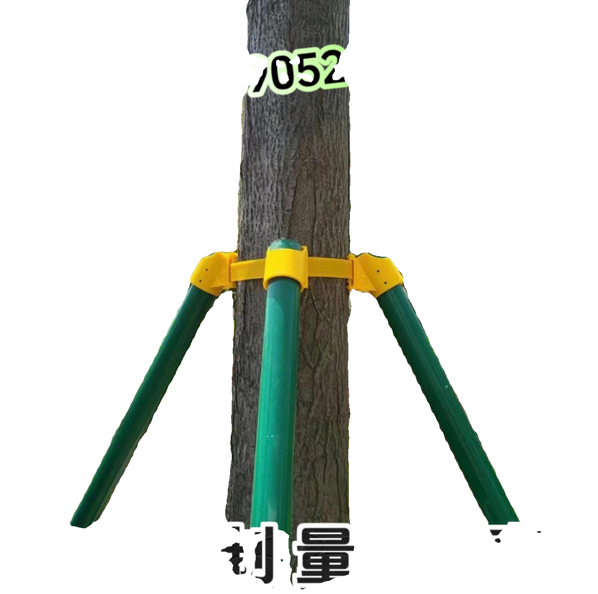 图5