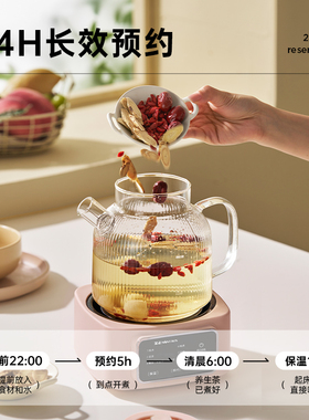 金正养生壶高颜值全玻璃花茶壶