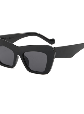 女士高级感ins大框太阳镜凹造型