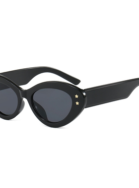 镜布圆脸美式复古高级感小框树脂