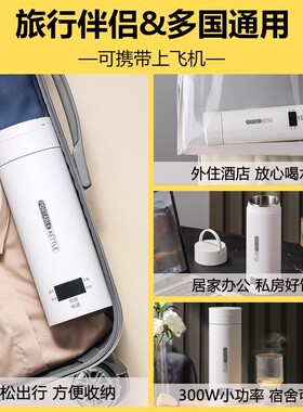 一体加热开水杯便携式烧水壶
