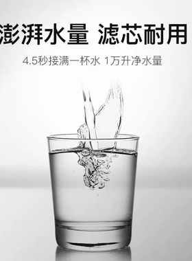 BWT活性炭软水原装进口