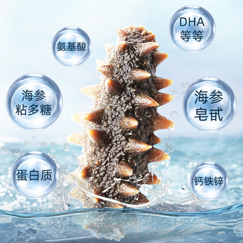 大连 晓芹海参 淡干海参 干货 大连刺参 68克 海参礼盒 2款任选 - 图2