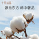 Four corners pure cotton children's underwear crystallized in October